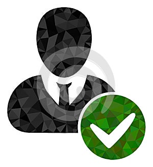 Valid User Polygonal Icon