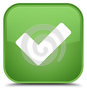 Validate icon special soft green square button photo