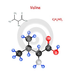 Valine is an essential amino acid. Chemical structural formula and model of molecule