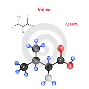 Valine is an essential amino acid. Chemical structural formula and model of molecule photo