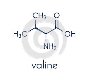 Valine l-valine, Val, V amino acid molecule. Skeletal formula.