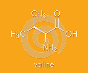 Valine l-valine, Val, V amino acid molecule. Skeletal formula.