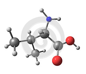 Valine molecule isolated on white