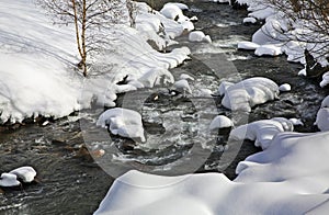 Valira d Orient river in la Cortinada. Andorra