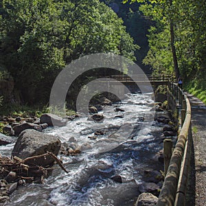 The Valira de Orient river in Andorra