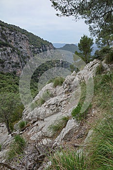 Valldemossa, Spain - 11 June, 2023: Hiking trails on the GR221 in the Tramontana Mountains, Mallorca photo