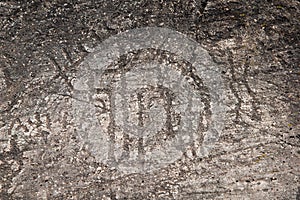 Prehistoric stone carvings, Valle Camonica Italy photo