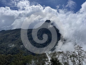 Valle de Cocora Salento Colombia