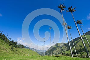 Valle de Cocora, Salento, QuindÃ Â­o, Colombia