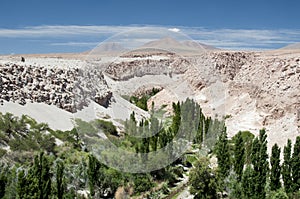Valle de Jerez, Atacama, Chile photo