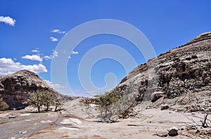 Valle de la Luna. Ischigualasto Provincial Park. Argentina