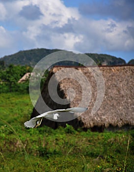 Valle de vinales