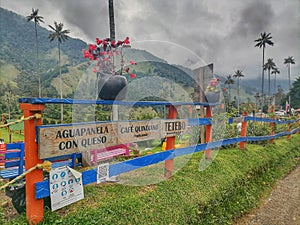 Valle del cocora en Salento. Eje cafetero, Colombia. photo