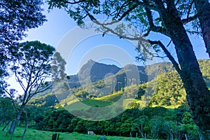 Valle del Cocora View