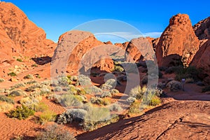 Valle of Fire Rock Formations