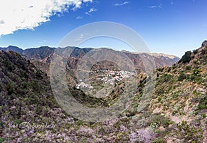 valle hermoso, la gomera, Spain photo