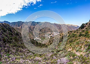 valle hermoso, la gomera, Spain photo