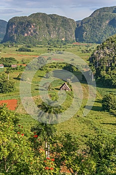 Valle Vinales in the west of Cuba
