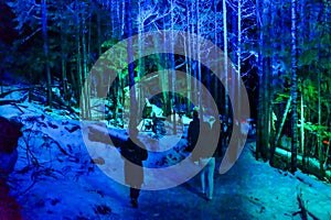 Vallea Lumina, the multimedia interactive forest walk in Whistler, BC