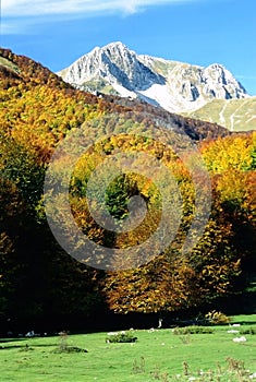 Vallefiorita, autumn landscape, Monte Meta