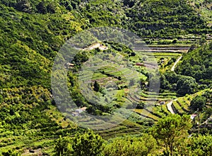 Vallehermoso on Gomera photo