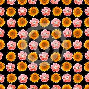 vallejo sunflower kiss loona olivia flower Seamless pattern Illustrations
