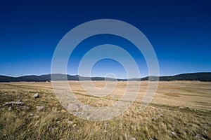 Valles Caldera photo