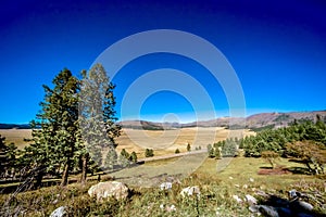 Valles Caldera National Preserve near Los Alamos in New Mexico, USA photo