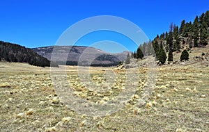 Valles Caldera National Preserve in New Mexico