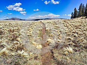 Valles Caldera National Preserve in New Mexico