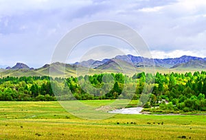 A valley in the Altai mountains