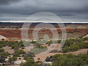 A Valley in the Bighorn Canyon Recreation Area