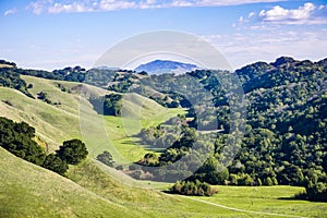 Valley in Briones Regional Park; Mount Diablo in the background, Contra Costa county, east San Francisco bay area, California