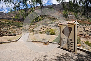 bushes and trees captus mountains yunga fuvial archaeological site kotosh Huanuco Peru photo