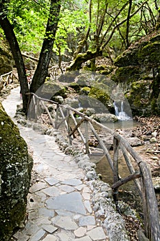 Valley Of The Butterflies, Rhodes, Greece