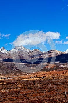 Valley of chuanxi plateau