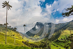 Valley Cocora Salento El Bosque de Las Palmas Quindio Colombia