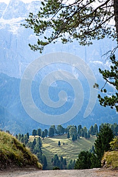 Valley in the dolomites alps