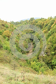 Valley with dry riverbed and forest