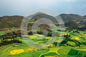 Valley filled with yellow blooming canola fields