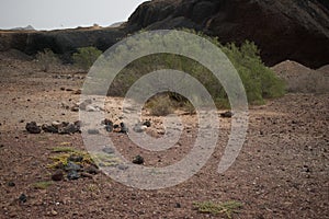 The valley of the finger of the god on the island of tenerife