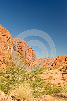 Valley of Fire landscape