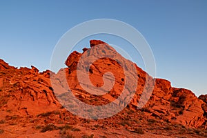 Valley of Fire - Panoramic sunrise view of red and orange Aztec Sandstone Rock formations and desert vegetation, Nevada
