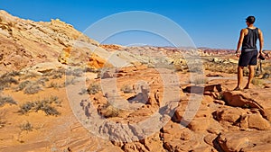 Valley of Fire - Rear view of man at Silica Dome viewpoint overlooking the Valley of Fire State Park in Mojave desert, Nevada, USA