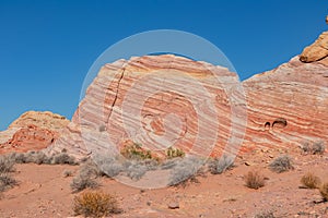 Valley of Fire - Scenic view of layered wavy red and white rock formations along the White Domes Hiking Trail. Nevada, USA