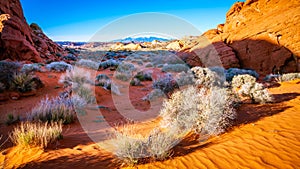 Valley of Fire State Park