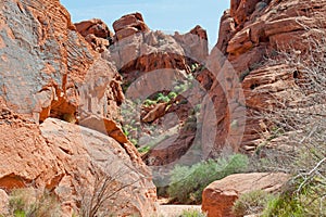 Valley of fire state park nevada mouse tank canyon