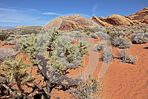 Valley of Fire State Park, Nevada, USA