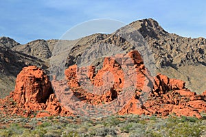 Valley of Fire State Park, Red Rock Sandstone Formation in Morning Light, Southwest Desert, Nevada, USA