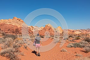 Valley of Fire - Woman hiking in Petroglyph Canyon on Mouse Tank trail in Valley of Fire State Park in Mojave desert, Nevada, USA